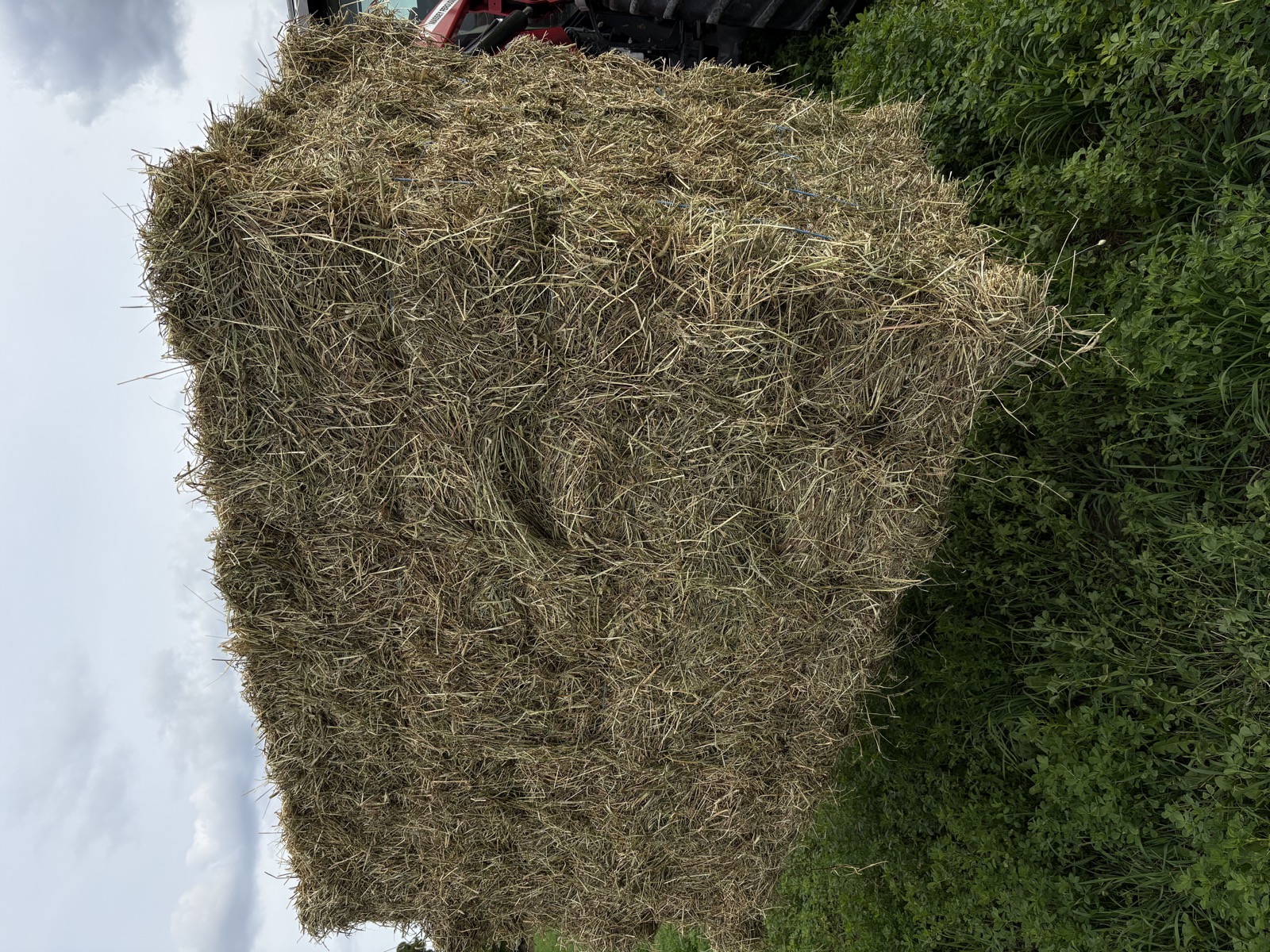 Close view of bundled hay