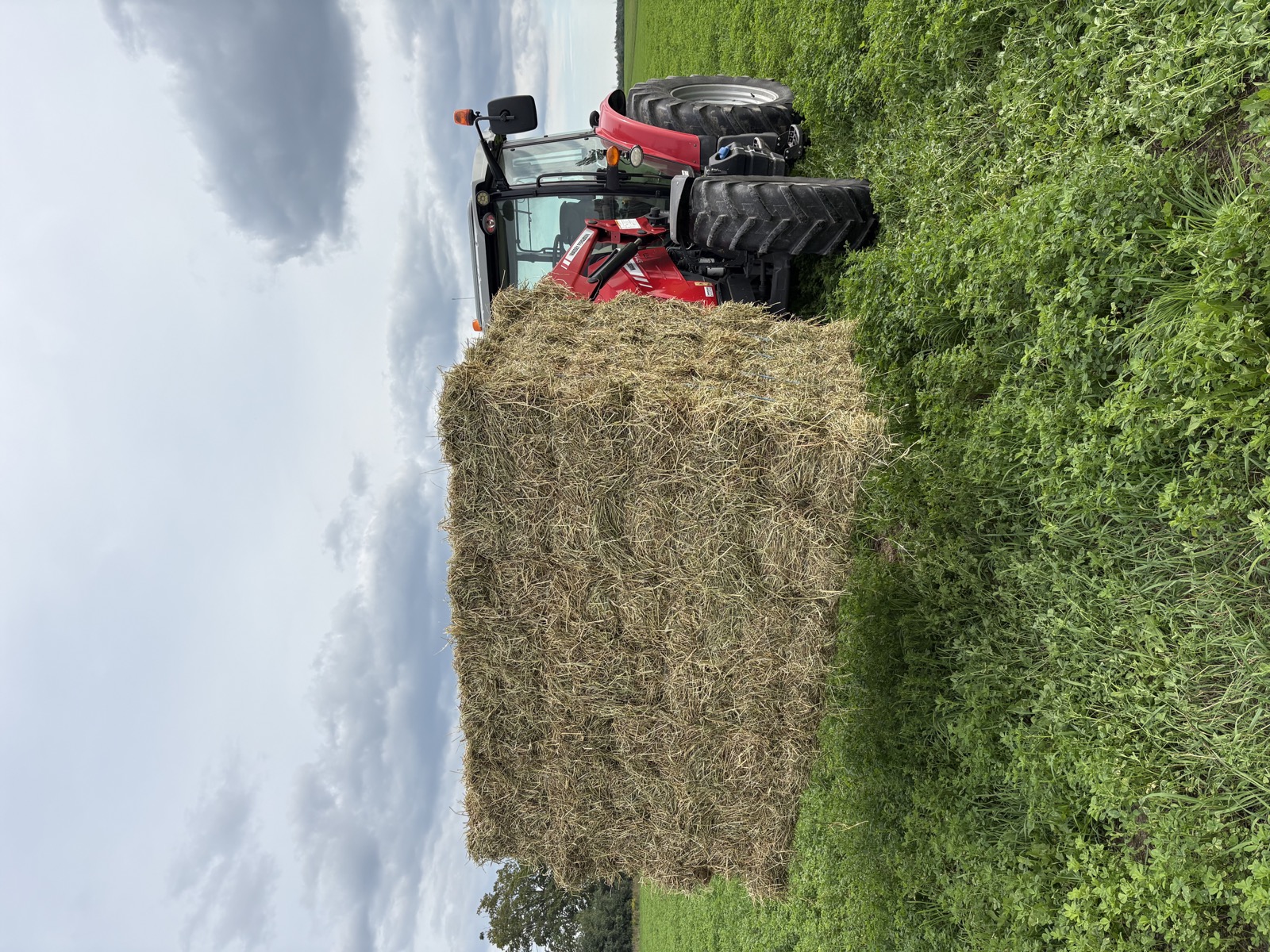 Tractor carrying hay in a green field